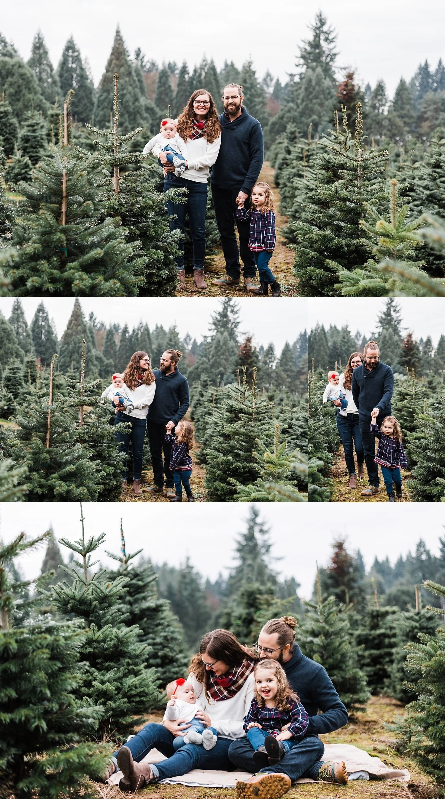 Portland Oregon Christmas Tree Farm Photos Elizabeth Hite